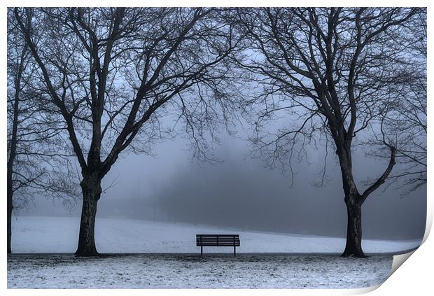 Bench in the park. Print by Ray Hammond
