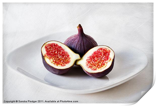 Figs Print by Sandra Pledger