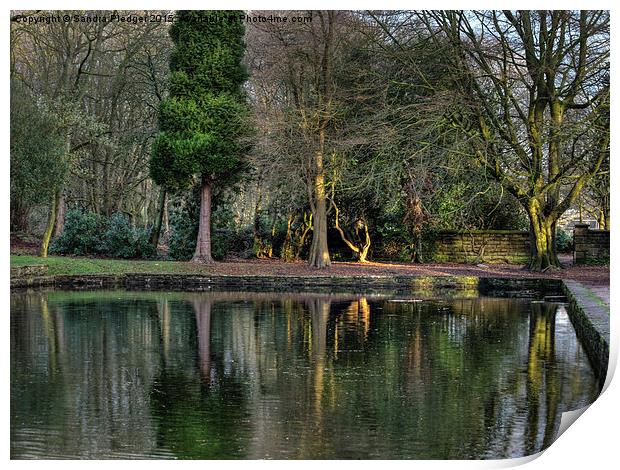  Winter reflections in the Park Print by Sandra Pledger