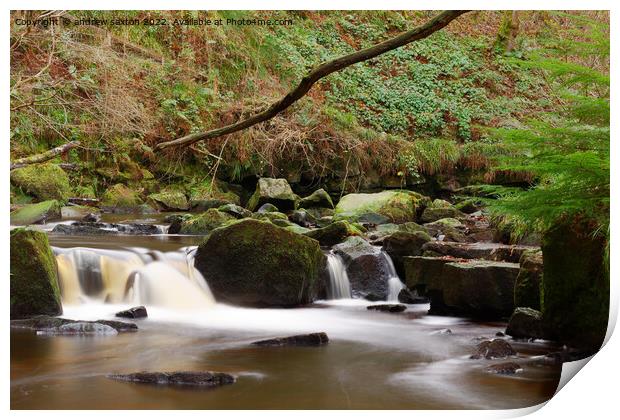 IN THE WATERFALL Print by andrew saxton