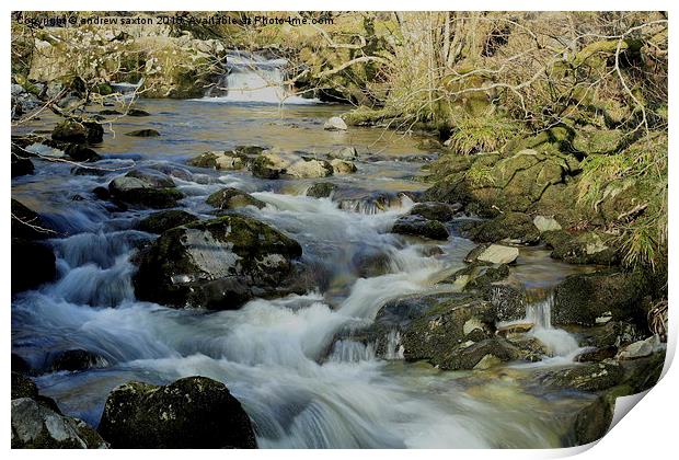  WE GOT WATER Print by andrew saxton