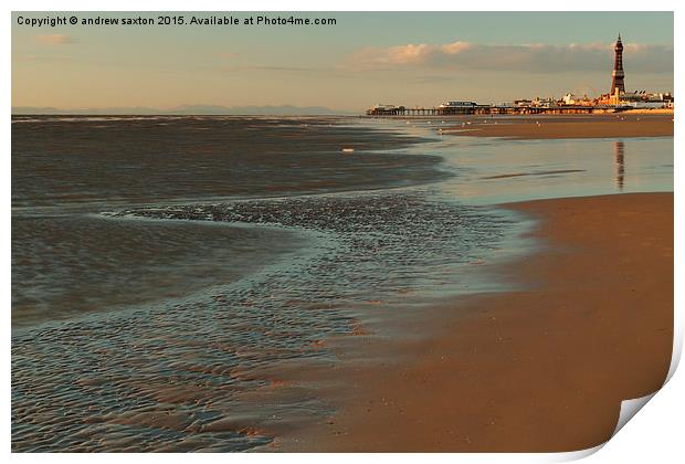  AT THE SEASIDE Print by andrew saxton