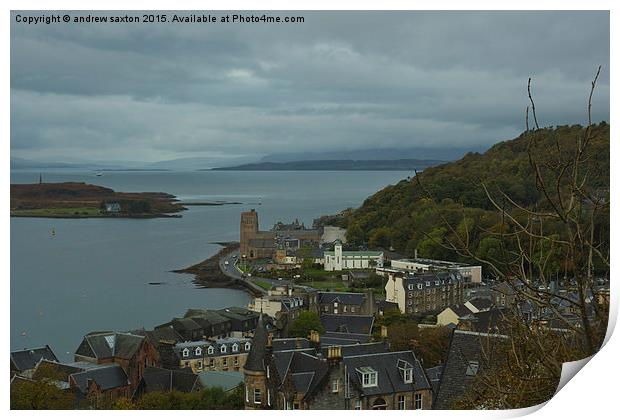  SCOTTISH COAST Print by andrew saxton