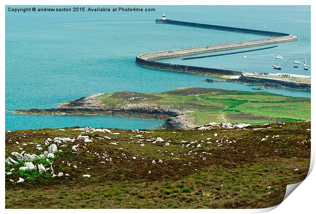  HOLYHEAD GOT Z'S Print by andrew saxton