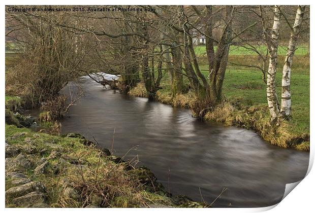  A SMALL STREAM Print by andrew saxton