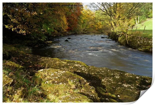 RIVER RIBBLE Print by andrew saxton