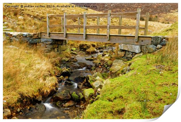 STREAM CROSSING Print by andrew saxton