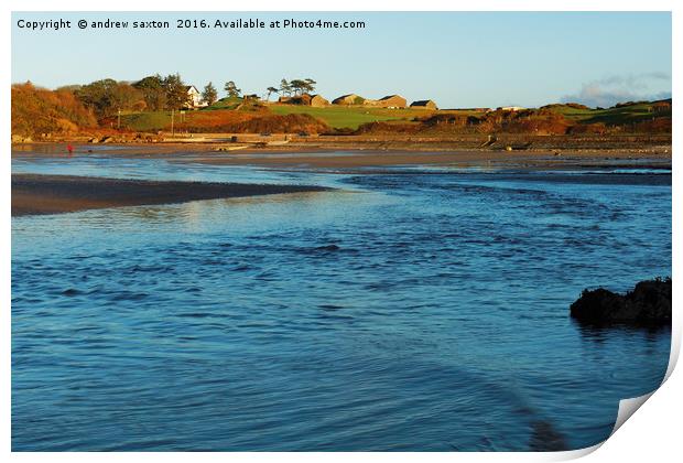 CEMAES BAY COVE Print by andrew saxton