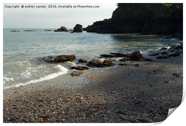 BAY AT DARTMOUTH Print by andrew saxton