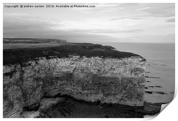 CLIFF TOPS Print by andrew saxton