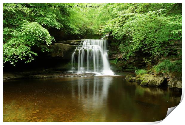 WATERFALL TREES Print by andrew saxton