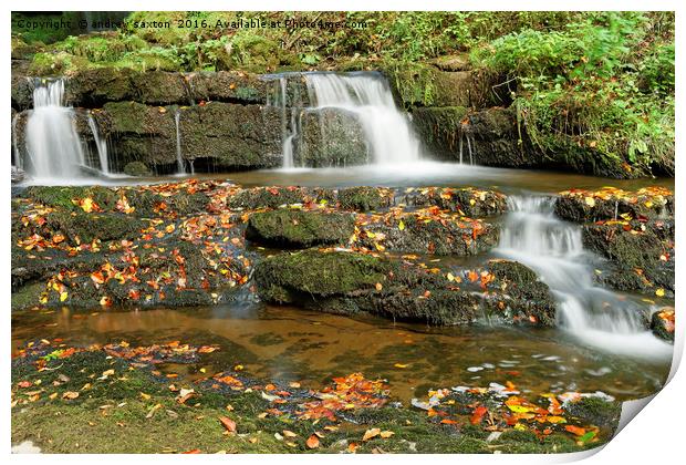 AUTUMN WATERS Print by andrew saxton