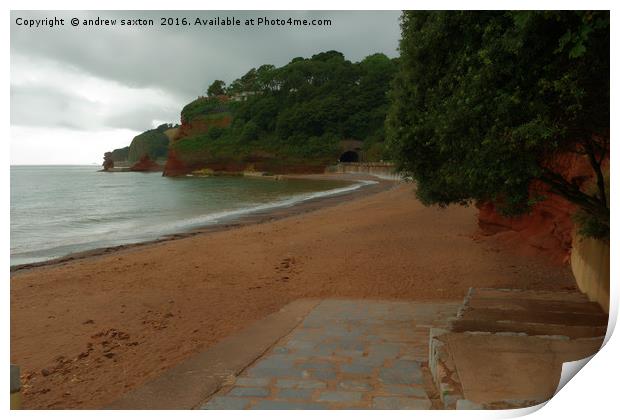 A DAWLISH COVE Print by andrew saxton