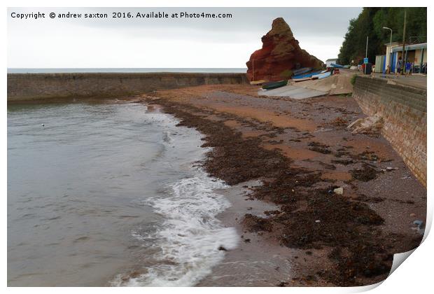 SEAWEED COVE Print by andrew saxton