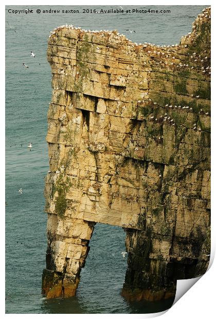 FILLED UP CLIFFS Print by andrew saxton