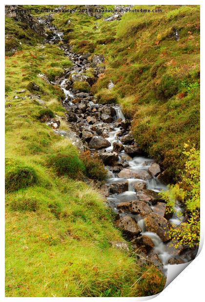 ROCKY WATER Print by andrew saxton