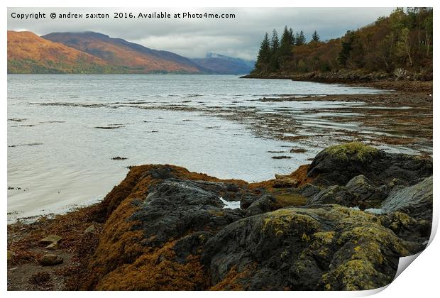 ACROSS LOCH LINNHE  Print by andrew saxton