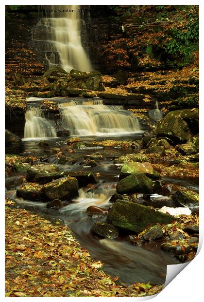 AUTUMN LEAVES WATERFALL Print by andrew saxton