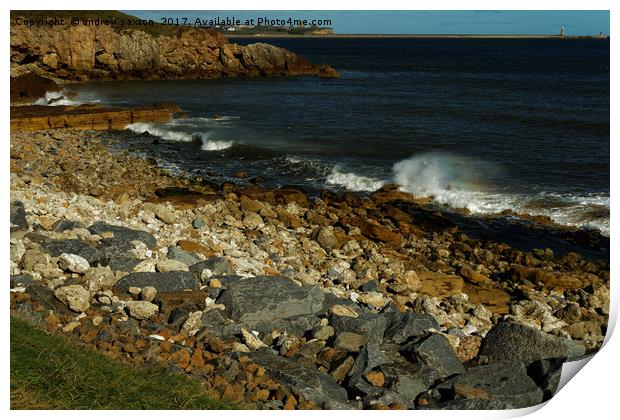 SHIELDS COAST Print by andrew saxton