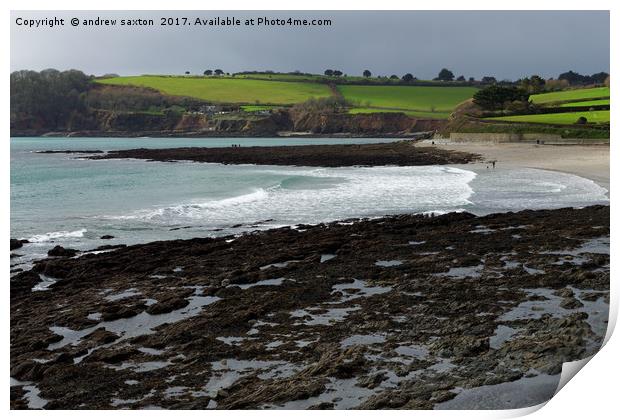 COAST TO COUNTRYSIDE Print by andrew saxton