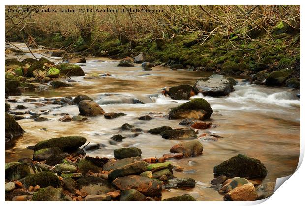 SHALLOW SWALE Print by andrew saxton