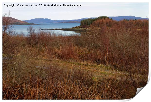 TREES LOCH AND MOUNTAINS  Print by andrew saxton