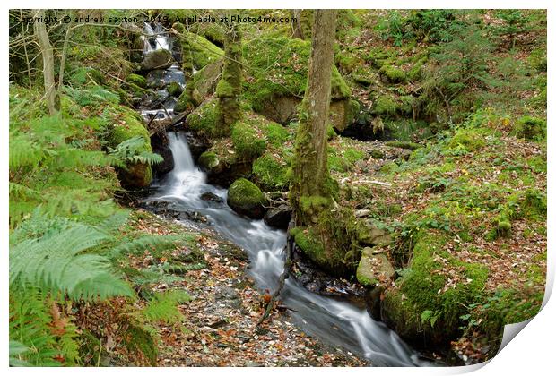 AUTUMN STREAM  Print by andrew saxton