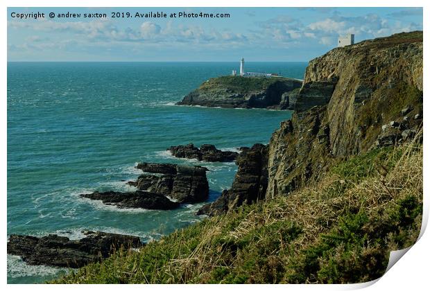 ROUGH CLIFFS Print by andrew saxton