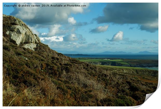 LOOKING AFAR Print by andrew saxton