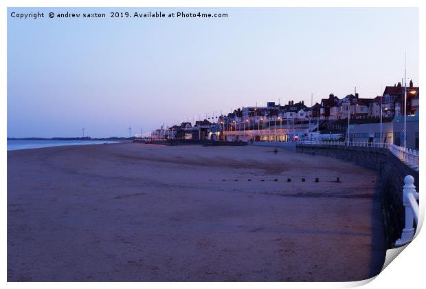 ALL BEACH  Print by andrew saxton