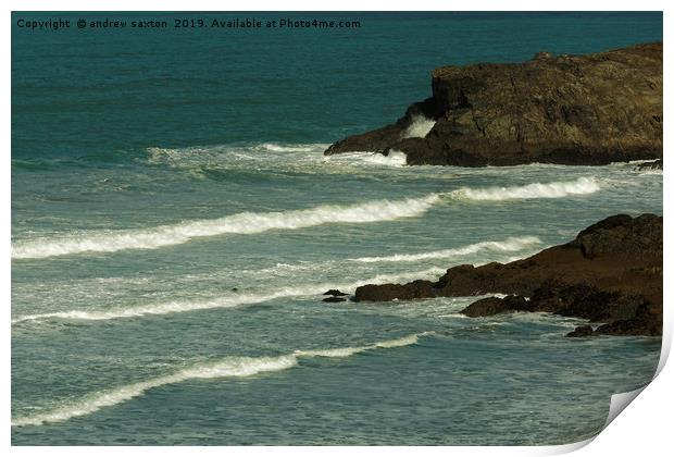 ROCKY WHITE WAVES Print by andrew saxton