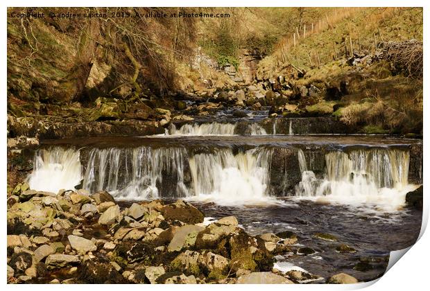 STEPPING FALLS Print by andrew saxton