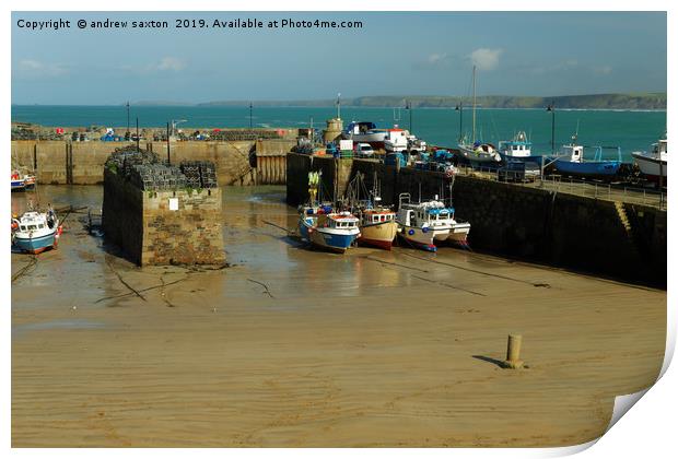 BOATS AT HOME Print by andrew saxton