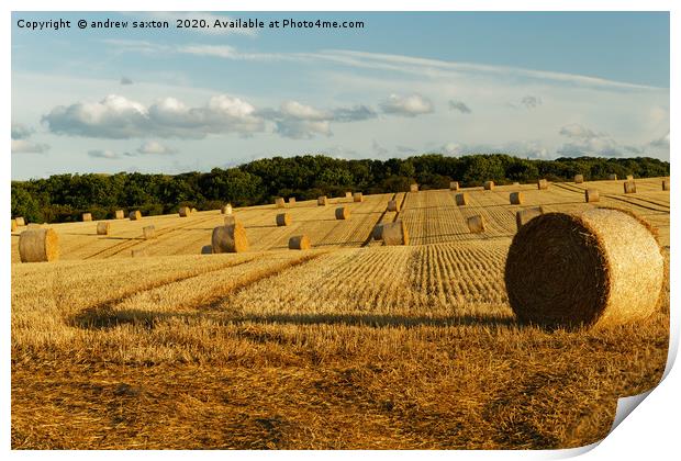 HARVEST IN Print by andrew saxton