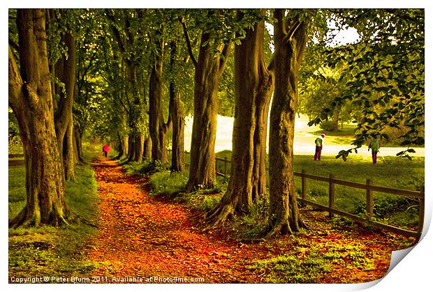Autumn's Golden Tree lined Pathway Print by Peter Blunn