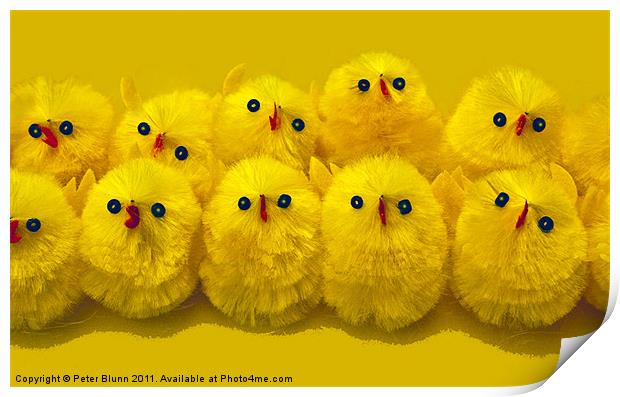 10 Little Easter Chicks Print by Peter Blunn
