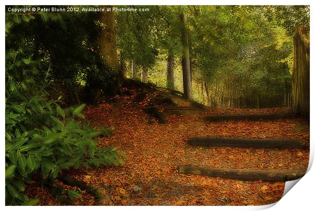 Autumn's Golden woodland Pathway #2 Print by Peter Blunn