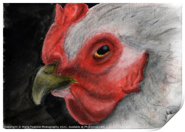 Original Art - Hen Close up Print by Maria Tzamtzi Photography