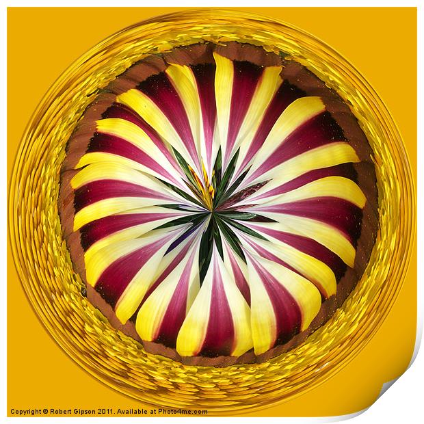Spherical Paperweight Gazania Sphere Print by Robert Gipson