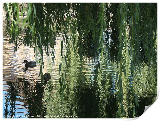 Pond at peace Print by Robert Gipson
