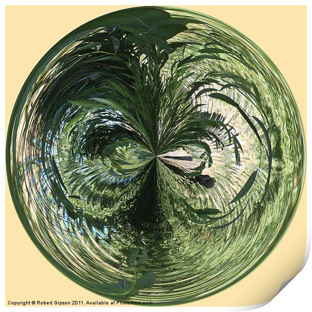 Spherical Paperweight at the Pond Print by Robert Gipson