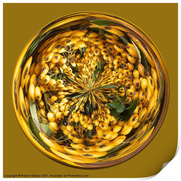 Spherical Paperweight Berry Glass Print by Robert Gipson