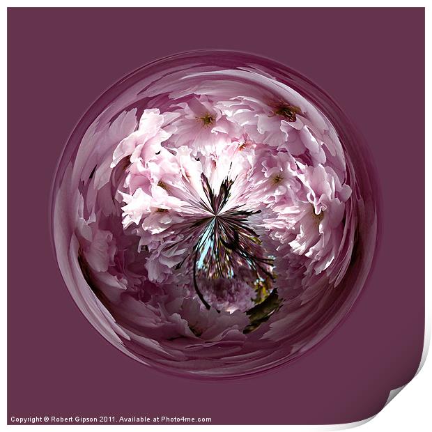 Spherical Cherry paperweight Print by Robert Gipson