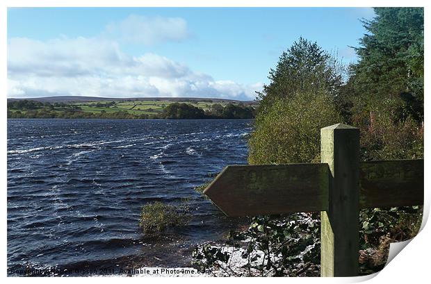 Swinsty Reservoir Print by Robert Gipson