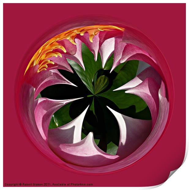 Spherical Lily paperweight Print by Robert Gipson