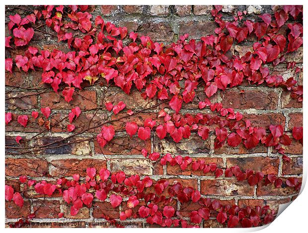 Autumn creeps along the wall Print by Robert Gipson