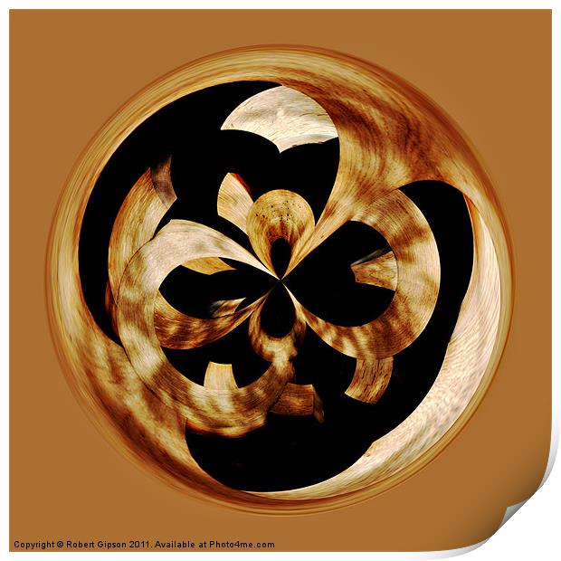 Spherical wood Paperweight curves Print by Robert Gipson