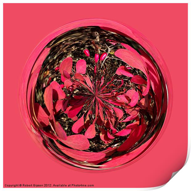 Spherical Autumn purple Print by Robert Gipson