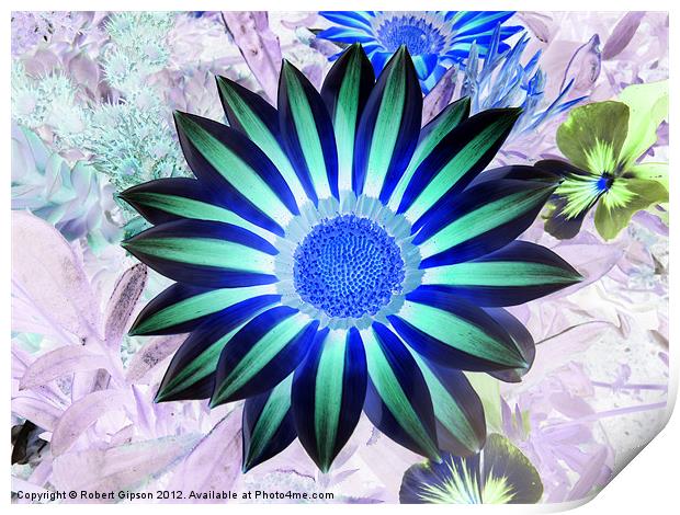 Abstract Gazania Print by Robert Gipson