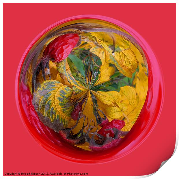 Spherical Autumn in the sphere Print by Robert Gipson